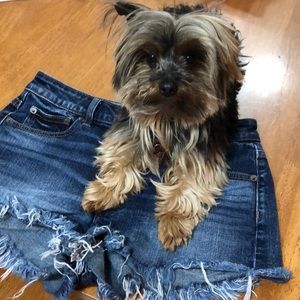 American Eagle Hi-Rise Festival Shorts